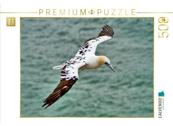 CALVENDO Puzzle Segelflug | 500 Teile Lege-Größe 48 × 36 cm Foto-Puzzle für Erwachsene