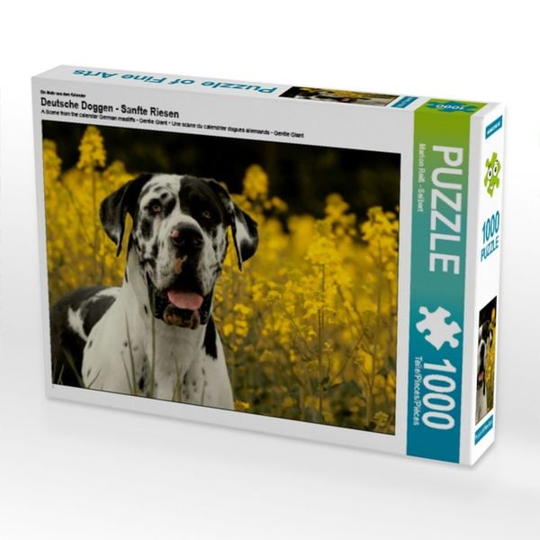 Produktbild: CALVENDO Puzzle Ein Motiv aus dem Kalender Deutsche Doggen - Sanfte Riesen | 1000 Teile Lege-Gr&ouml;&szlig;e 64x48cm Foto-Puzzle f&uuml;r gl&uuml;ckliche Stunden