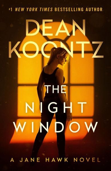 Produktbild: The Night Window