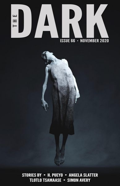 Produktbild: The Dark Issue 66