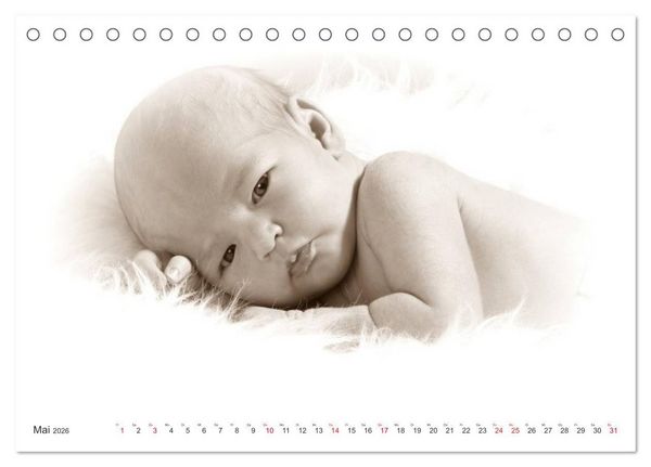 Produktbild: Babys - Willkommen im Leben (Tischkalender 2026 DIN A5 quer), CALVENDO Monatskalender
