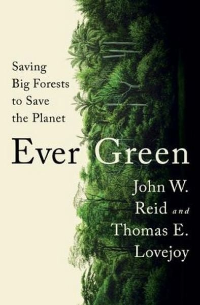 Produktbild: Ever Green