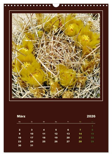 Produktbild: Wilde Kakteen Amerikas (Wandkalender 2026 DIN A3 hoch), CALVENDO Monatskalender