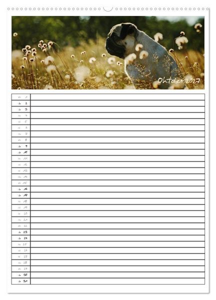 Produktbild: Der mopsige Familienplaner (hochwertiger Premium Wandkalender 2027 DIN A2 hoch), Kunstdruck in Hochglanz