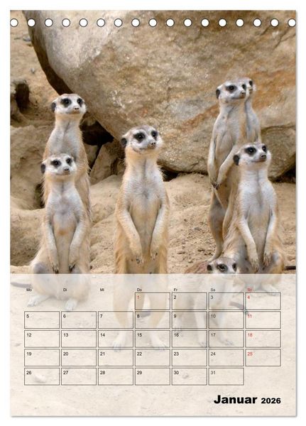Produktbild: Erdm&auml;nnchen - Afrikas liebenswerte Zwerge (Tischkalender 2026 DIN A5 hoch), CALVENDO Monatskalender