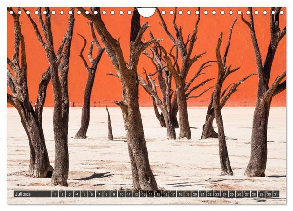 Produktbild: Zwischen Namib und Kalahari (Wandkalender 2026 DIN A4 quer), CALVENDO Monatskalender