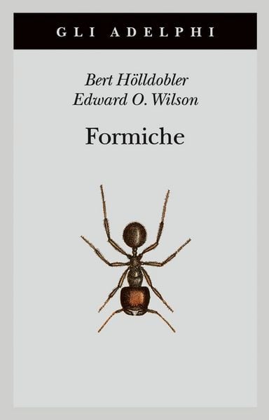 Produktbild: Formiche. Storia di un'esplorazione scientifica