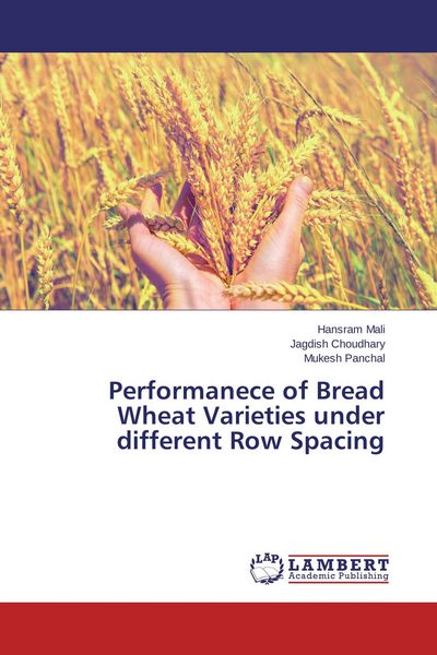 Produktbild: Performanece of Bread Wheat Varieties under different Row Spacing
