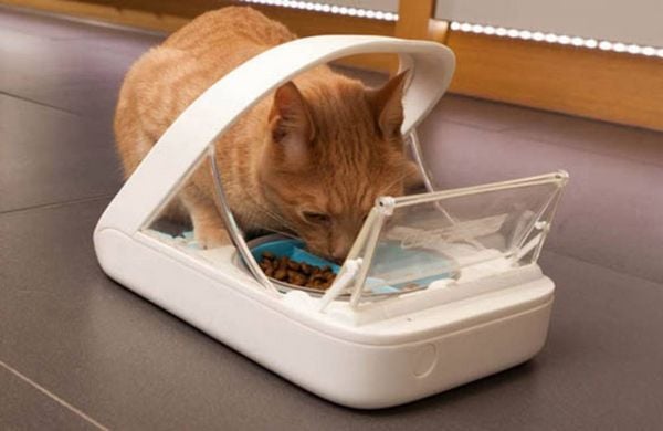 Produktbild: SureFeed Futterautomat Mikrochip chucker 400 ml Hund, Katze Wei&szlig; Steuerung &uuml;ber Chip oder RFID-Anh&auml;nger, Automatisch schlie&szlig;ender Deckel, f&uuml;r Nas