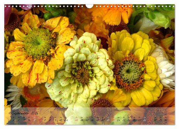 Produktbild: Bl&uuml;ten dicht an dicht (Wandkalender 2026 DIN A3 quer), CALVENDO Monatskalender