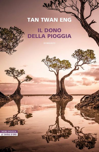 Produktbild: Il dono della pioggia