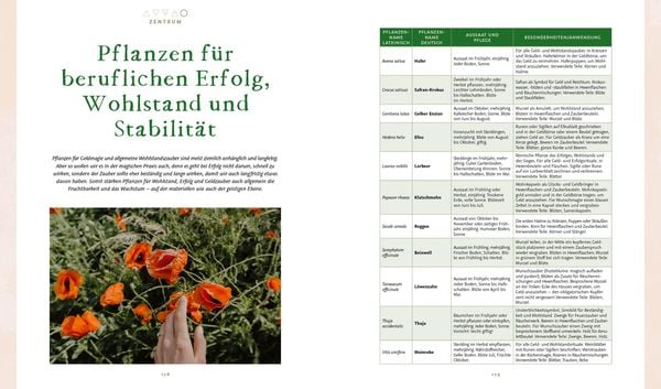 Produktbild: Magie im Hexengarten – Gärtnern mit grüner Magie