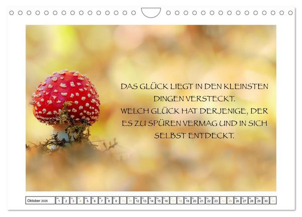 Produktbild: Spruch verliebt (Wandkalender 2026 DIN A4 quer), CALVENDO Monatskalender
