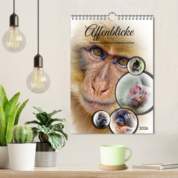 Produktbild: Affenblicke (Wandkalender 2026 DIN A4 hoch), CALVENDO Monatskalender