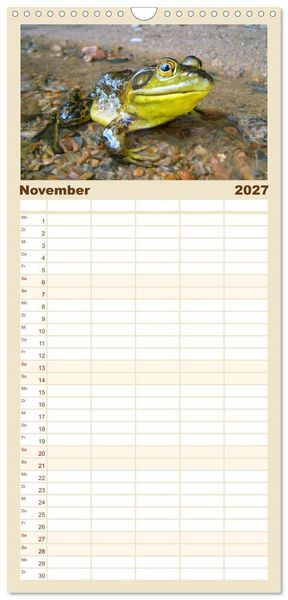 Produktbild: Familienplaner 2027 - Fr&ouml;sche - Die wundersch&ouml;ne Welt der bunten H&uuml;pfer. mit 5 Spalten (Wandkalender, 21 x 45 cm) CALVENDO