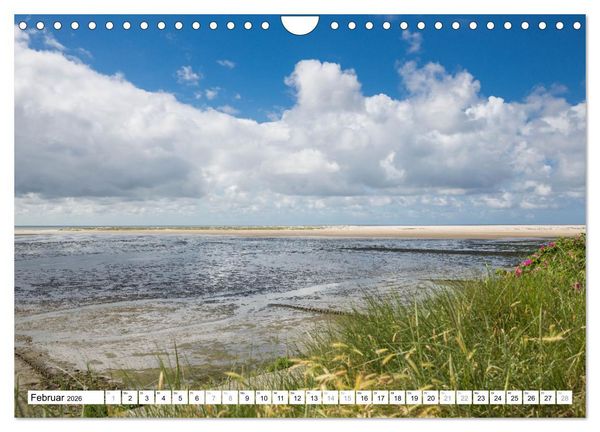 Produktbild: Amrum - Perle im nordfriesischen Wattenmeer (Wandkalender 2026 DIN A4 quer), CALVENDO Monatskalender