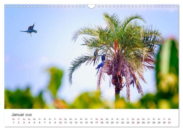 Produktbild: Brasilien - Karnevale, Fu&szlig;ball und Regenw&auml;lder. (Wandkalender 2026 DIN A3 quer), CALVENDO Monatskalender