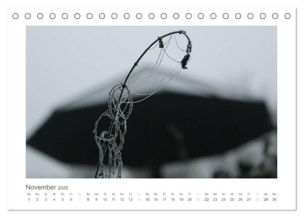 Produktbild: einfach schwarz-wei&szlig; (Tischkalender 2026 DIN A5 quer), CALVENDO Monatskalender