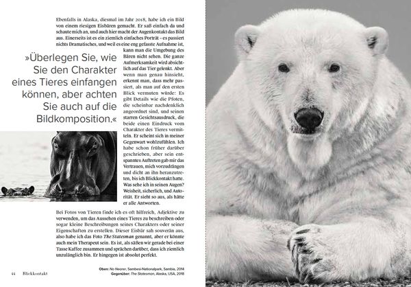 Produktbild: Wie ich Fotos mache