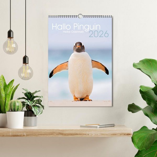 Produktbild: Hallo Pinguin (Wandkalender 2026 DIN A3 hoch), CALVENDO Monatskalender