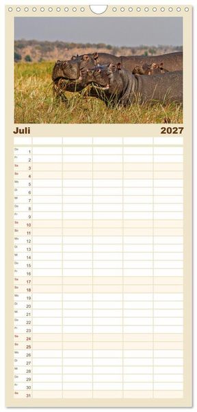 Produktbild: Familienplaner 2027 - Hippos - Gef&auml;hrliche Giganten mit 5 Spalten (Wandkalender, 21 x 45 cm) CALVENDO