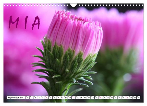 Produktbild: MIA - Namenskalender (Wandkalender 2026 DIN A3 quer), CALVENDO Monatskalender