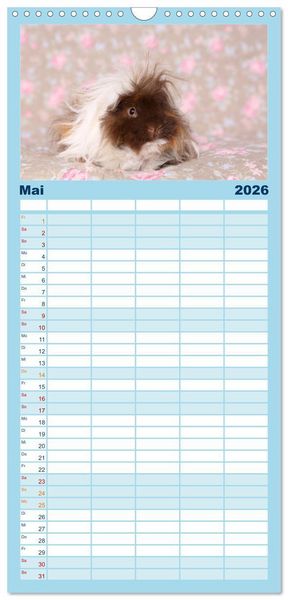 Produktbild: Familienplaner 2026 - Niedliche Meerschweinchen mit 5 Spalten (Wandkalender, 21 x 45 cm) CALVENDO