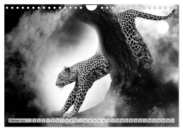 Produktbild: Wilde Tiere in schwarz-wei&szlig; (Wandkalender 2026 DIN A4 quer), CALVENDO Monatskalender