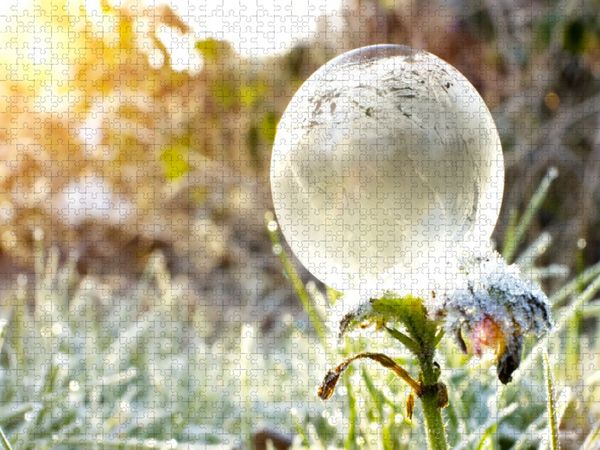 Produktbild: CALVENDO Puzzle Ein Motiv aus dem Kalender Frostige Seifenblasen | 1000 Teile Lege-Gr&ouml;&szlig;e 64x48cm Foto-Puzzle f&uuml;r gl&uuml;ckliche Stunden