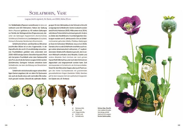Produktbild: Das Herbarium floraler Dekore