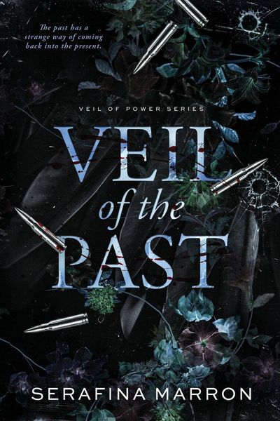 Produktbild: Veil of the Past