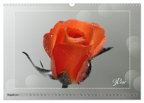 Produktbild: Bl&uuml;tenbouquet (Wandkalender 2027 DIN A3 quer), CALVENDO Monatskalender