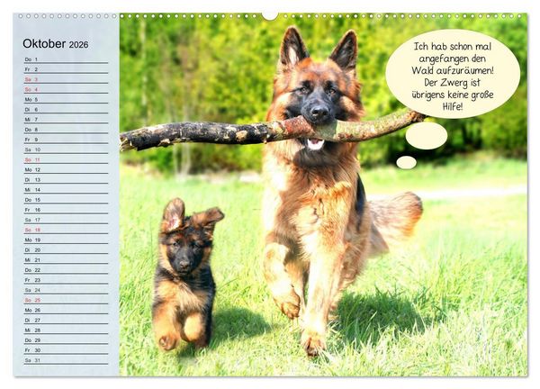 Produktbild: Hurra! Wir gehen Gassi! Abenteuer mit dem Hund! (Wandkalender 2026 DIN A2 quer), CALVENDO Monatskalender