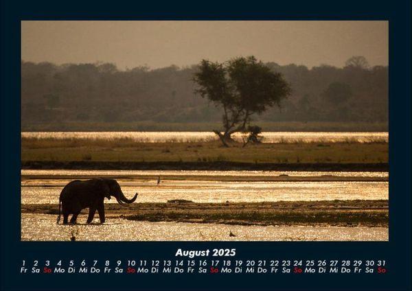 Produktbild: Elefanten - Die sanften Riesen Afrikas 2025 Fotokalender DIN A4
