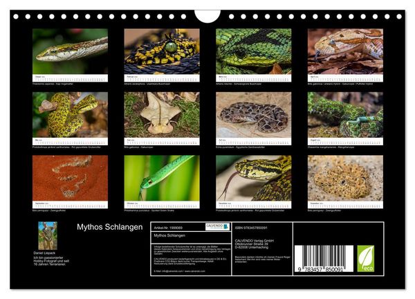 Produktbild: Mythos Schlangen (Wandkalender 2026 DIN A4 quer), CALVENDO Monatskalender