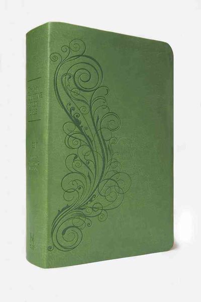 Produktbild: New Inductive Study Bible-ESV