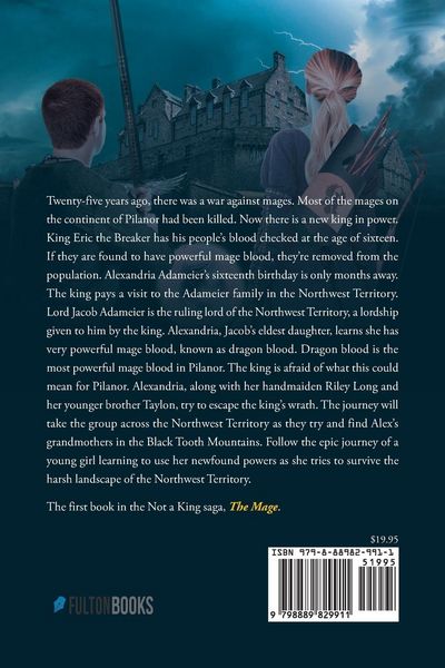 Produktbild: The Mage Book 1