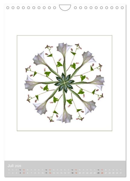 Produktbild: Pflanzen - Mandalas aus Bl&uuml;ten und Bl&auml;ttern (Wandkalender 2026 DIN A4 hoch), CALVENDO Monatskalender