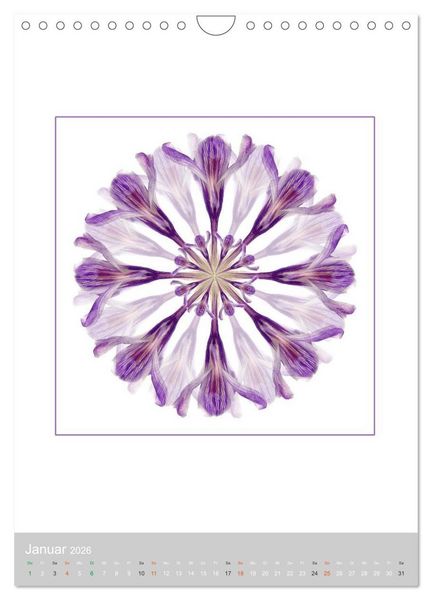 Produktbild: Pflanzen - Mandalas aus Bl&uuml;ten und Bl&auml;ttern (Wandkalender 2026 DIN A4 hoch), CALVENDO Monatskalender
