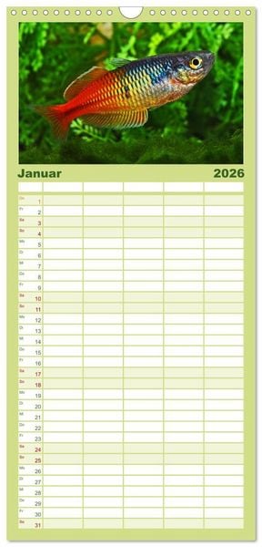 Produktbild: Familienplaner 2026 - Beliebte Fische der Welt mit 5 Spalten (Wandkalender, 21 x 45 cm) CALVENDO