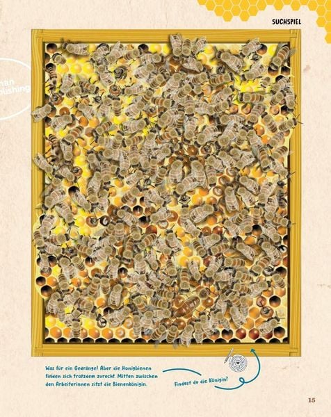 Produktbild: Bienen