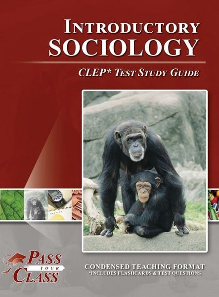 Produktbild: Introduction to Sociology CLEP Test Study Guide