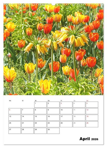 Produktbild: Einzigartiges Heidenheim (Wandkalender 2026 DIN A2 hoch), CALVENDO Monatskalender