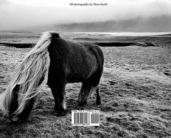 Produktbild: Iceland