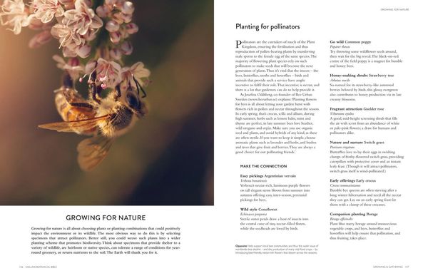 Produktbild: Collins Botanical Bible