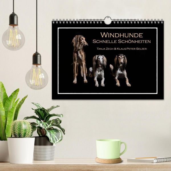 Produktbild: Windhunde - Schnelle Sch&ouml;nheiten (Wandkalender 2026 DIN A4 quer), CALVENDO Monatskalender