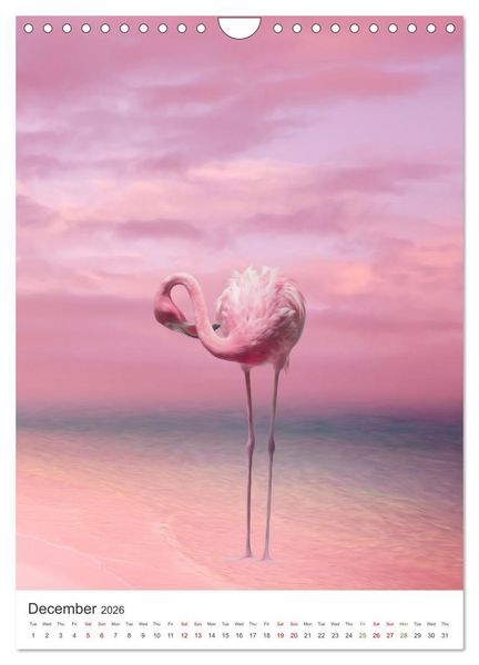 Produktbild: Flamingo and the sea (Wall Calendar 2026 DIN A4 portrait), CALVENDO 12 Month Wall Calendar