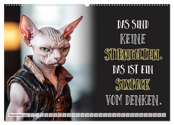 Produktbild: Schnurrige Gl&uuml;ckw&uuml;nsche - Spr&uuml;che zum &Auml;lterwerden (hochwertiger Premium Wandkalender 2026 DIN A2 quer), Kunstdruck in Hochglanz