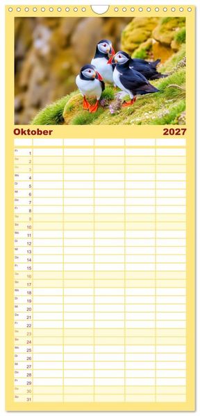 Produktbild: Familienplaner 2027 - Tieftaucher Papageitaucher mit 5 Spalten (Wandkalender, 21 x 45 cm) CALVENDO