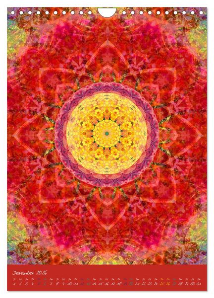 Produktbild: MANDALAS der Natur (Wandkalender 2026 DIN A4 hoch), CALVENDO Monatskalender